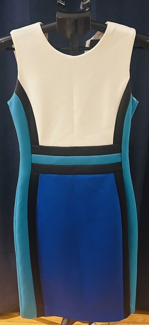 Calvin Klein Sleeveless Colorblock Scuba Dress Women's size 4